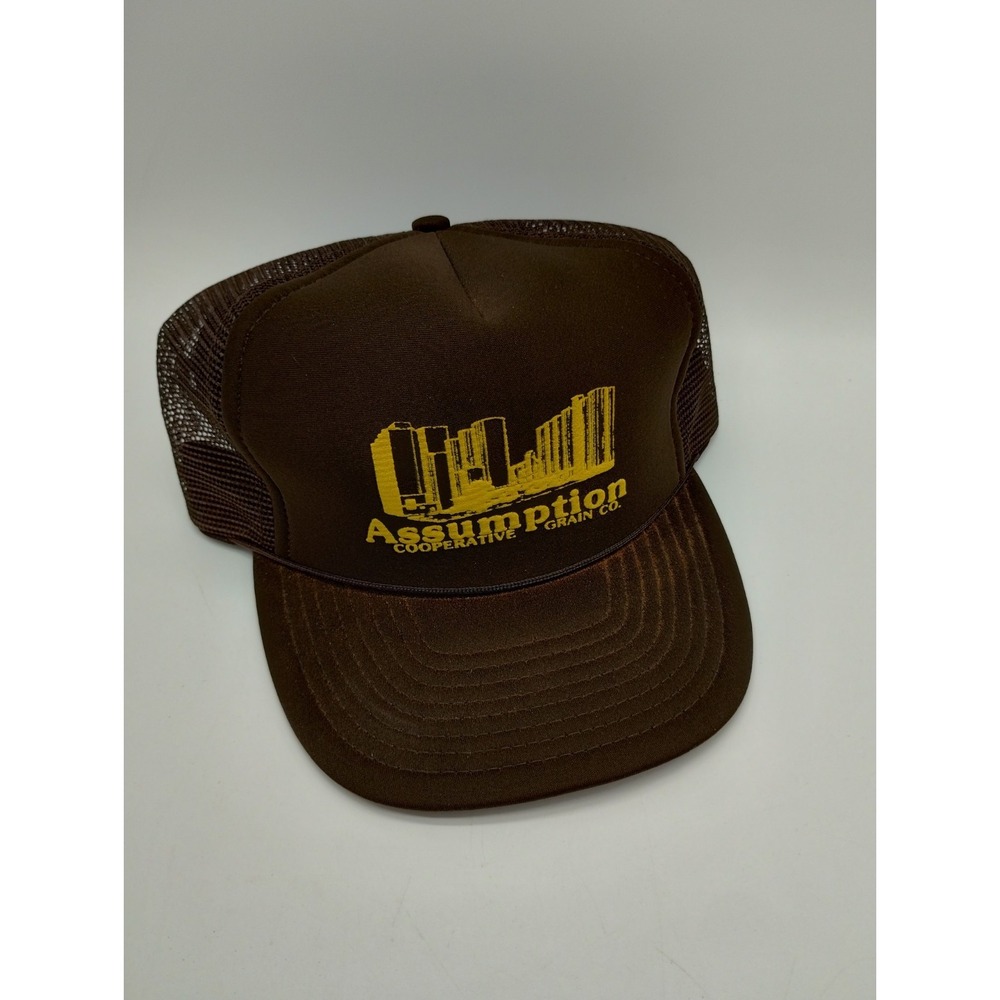 Vintage Mesh Back Snap Truckers Hat Brown Assumption Coop Grain Co. San Sun